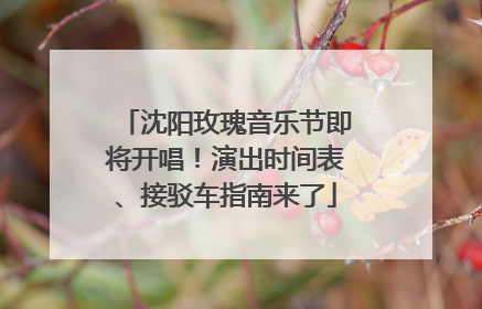 沈阳玫瑰音乐节即将开唱！演出时间表、接驳车指南来了
