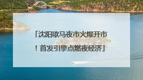 沈阳歇马夜市火爆开市！首发引擎点燃夜经济