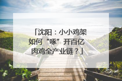 沈阳：小小鸡架如何“啄”开百亿肉鸡全产业链？