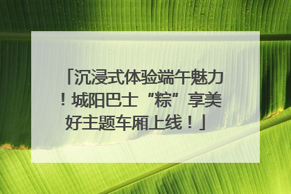 沉浸式体验端午魅力！城阳巴士“粽”享美好主题车厢上线！