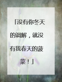 没有你冬天的调解，就没有我春天的菠菜！