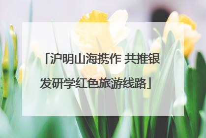 沪明山海携作 共推银发研学红色旅游线路