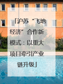 沪苏“飞地经济”合作新模式：以重大项目牵引产业链升级