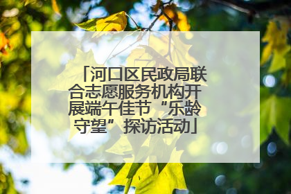 河口区民政局联合志愿服务机构开展端午佳节“乐龄守望”探访活动