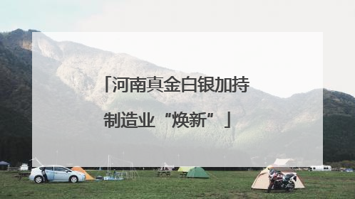 河南真金白银加持制造业“焕新”