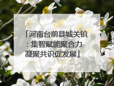 河南台前县城关镇：集智赋能聚合力 凝聚共识促发展