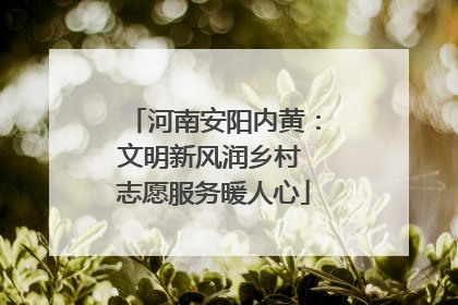 河南安阳内黄：文明新风润乡村 志愿服务暖人心