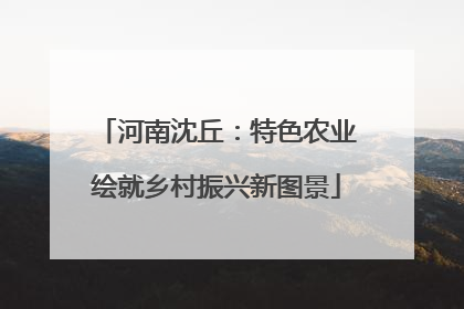 河南沈丘：特色农业绘就乡村振兴新图景