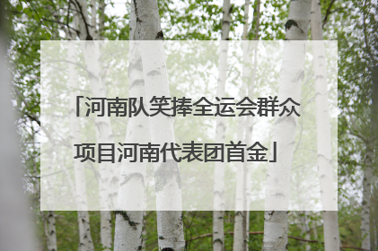 河南队笑捧全运会群众项目河南代表团首金