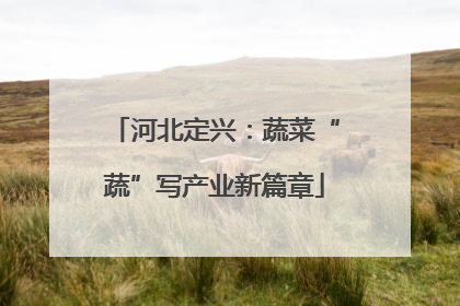 河北定兴：蔬菜“蔬”写产业新篇章