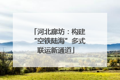 河北廊坊：构建“空铁陆海”多式联运新通道