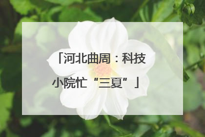 河北曲周：科技小院忙“三夏”