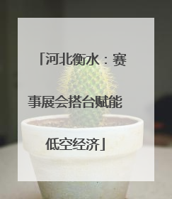河北衡水：赛事展会搭台赋能低空经济