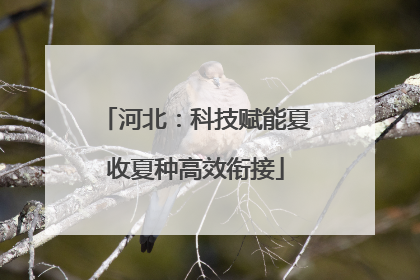 河北：科技赋能夏收夏种高效衔接
