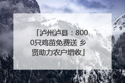 泸州泸县：8000只鸡苗免费送 乡贤助力农户增收