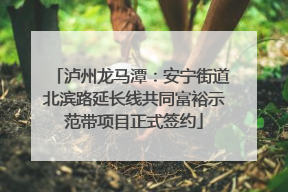 泸州龙马潭：安宁街道北滨路延长线共同富裕示范带项目正式签约