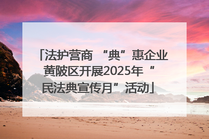 法护营商 “典”惠企业 黄陂区开展2025年“民法典宣传月”活动