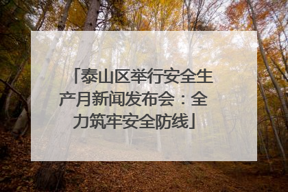 泰山区举行安全生产月新闻发布会：全力筑牢安全防线