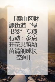 泰山区财源街道“绿书签”专项行动：多点开花共筑幼苗清朗成长空间