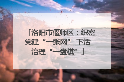 洛阳市偃师区：织密党建“一张网” 下活治理“一盘棋”