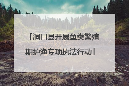 洞口县开展鱼类繁殖期护渔专项执法行动