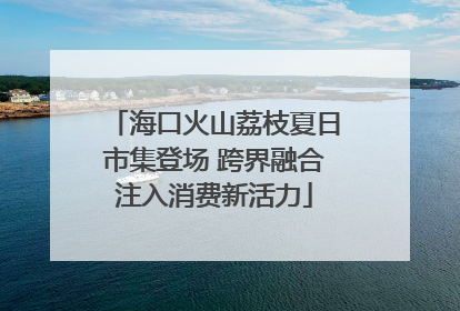 海口火山荔枝夏日市集登场 跨界融合注入消费新活力