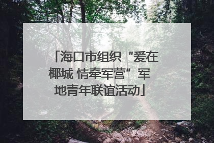 海口市组织“爱在椰城 情牵军营”军地青年联谊活动