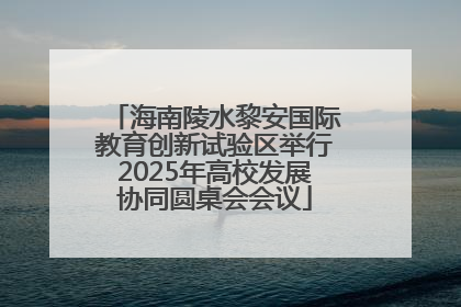 海南陵水黎安国际教育创新试验区举行2025年高校发展协同圆桌会会议