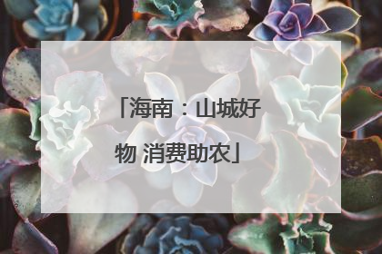 海南：山城好物 消费助农
