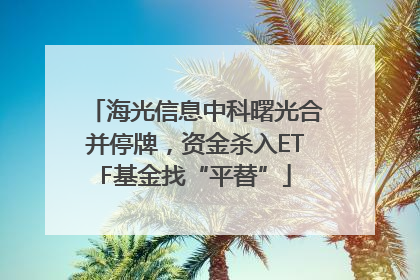 海光信息中科曙光合并停牌，资金杀入ETF基金找“平替”