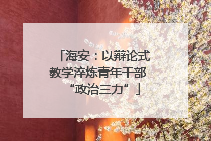 海安：以辩论式教学淬炼青年干部“政治三力”