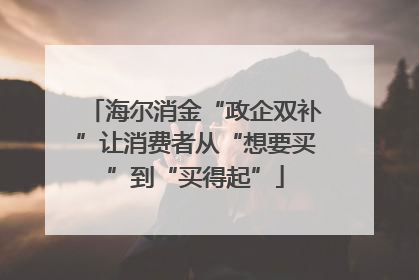 海尔消金“政企双补”让消费者从“想要买”到“买得起”