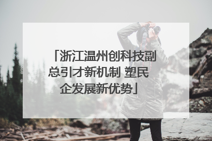 浙江温州创科技副总引才新机制 塑民企发展新优势