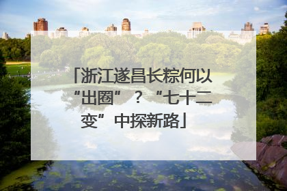 浙江遂昌长粽何以“出圈”？“七十二变”中探新路
