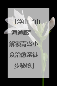 浮山“山海通廊” 解锁青岛小众治愈系徒步秘境