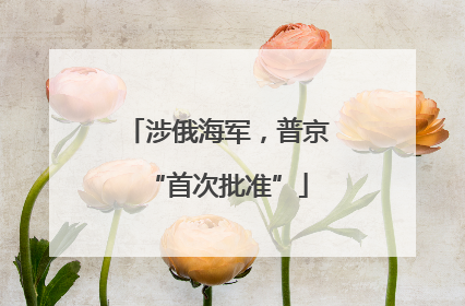 涉俄海军，普京“首次批准”