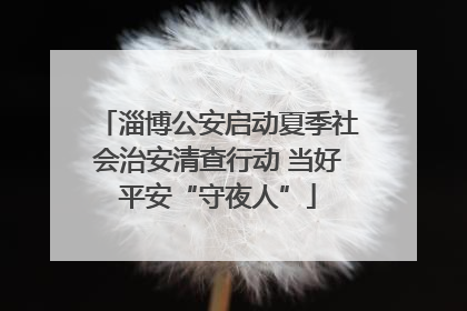 淄博公安启动夏季社会治安清查行动 当好平安“守夜人”