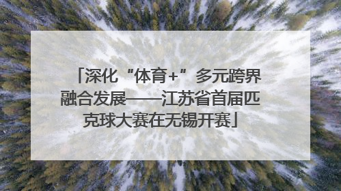 深化“体育+”多元跨界融合发展——江苏省首届匹克球大赛在无锡开赛