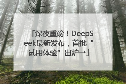 深夜重磅！DeepSeek最新发布，首批“试用体验”出炉→