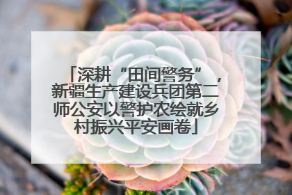 深耕“田间警务”，新疆生产建设兵团第二师公安以警护农绘就乡村振兴平安画卷