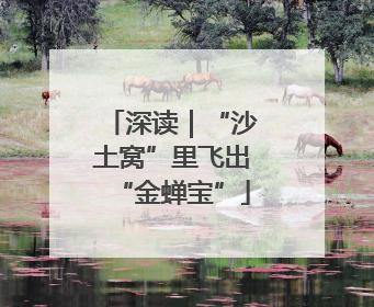 深读｜“沙土窝”里飞出“金蝉宝”