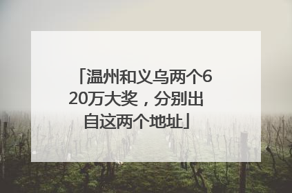 温州和义乌两个620万大奖，分别出自这两个地址