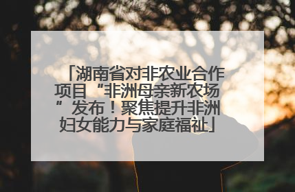 湖南省对非农业合作项目“非洲母亲新农场”发布！聚焦提升非洲妇女能力与家庭福祉