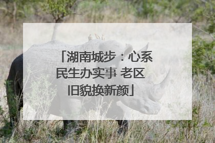 湖南城步：心系民生办实事 老区旧貌换新颜