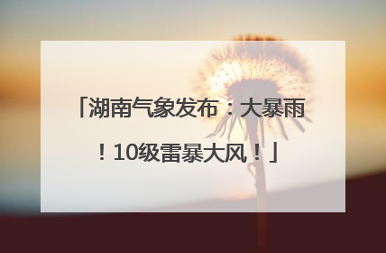 湖南气象发布：大暴雨！10级雷暴大风！