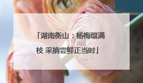 湖南衡山：杨梅缀满枝 采摘尝鲜正当时