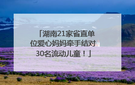 湖南21家省直单位爱心妈妈牵手结对30名流动儿童！