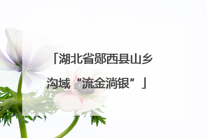 湖北省郧西县山乡沟域“流金淌银”