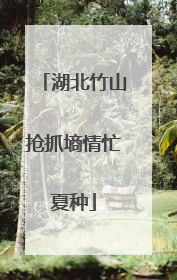 湖北竹山抢抓墒情忙夏种