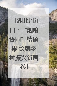 湖北丹江口：“烟粮协同”结硕果 绘就乡村振兴新画卷